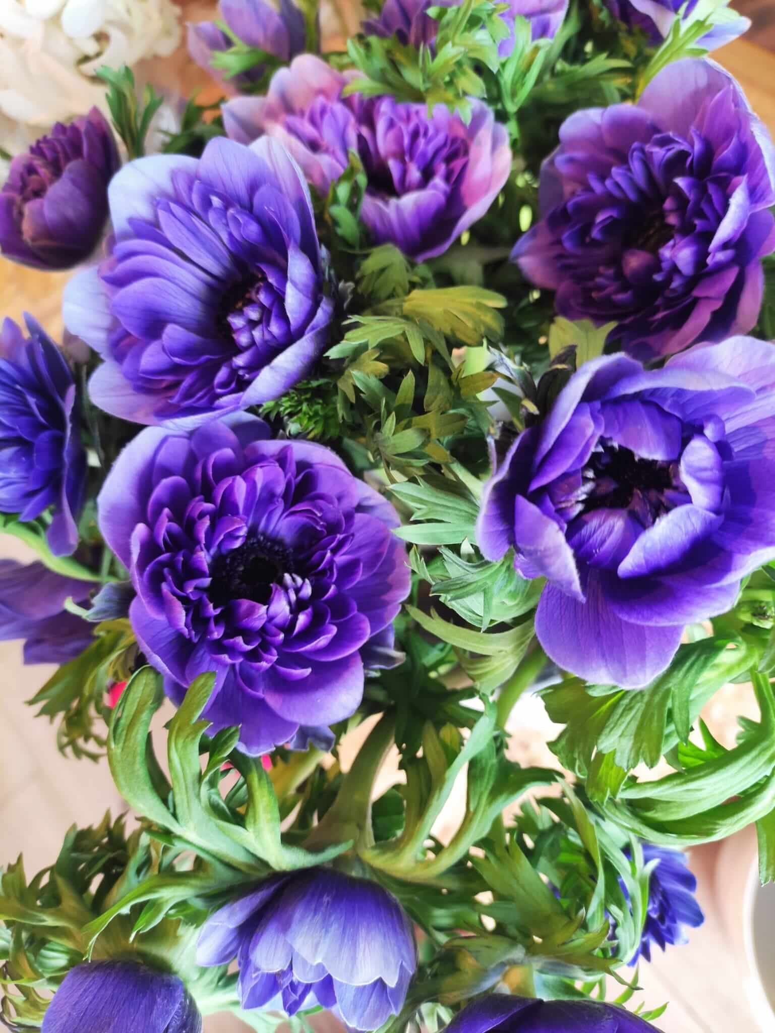 Volume Flowers for expressive and strong emotions