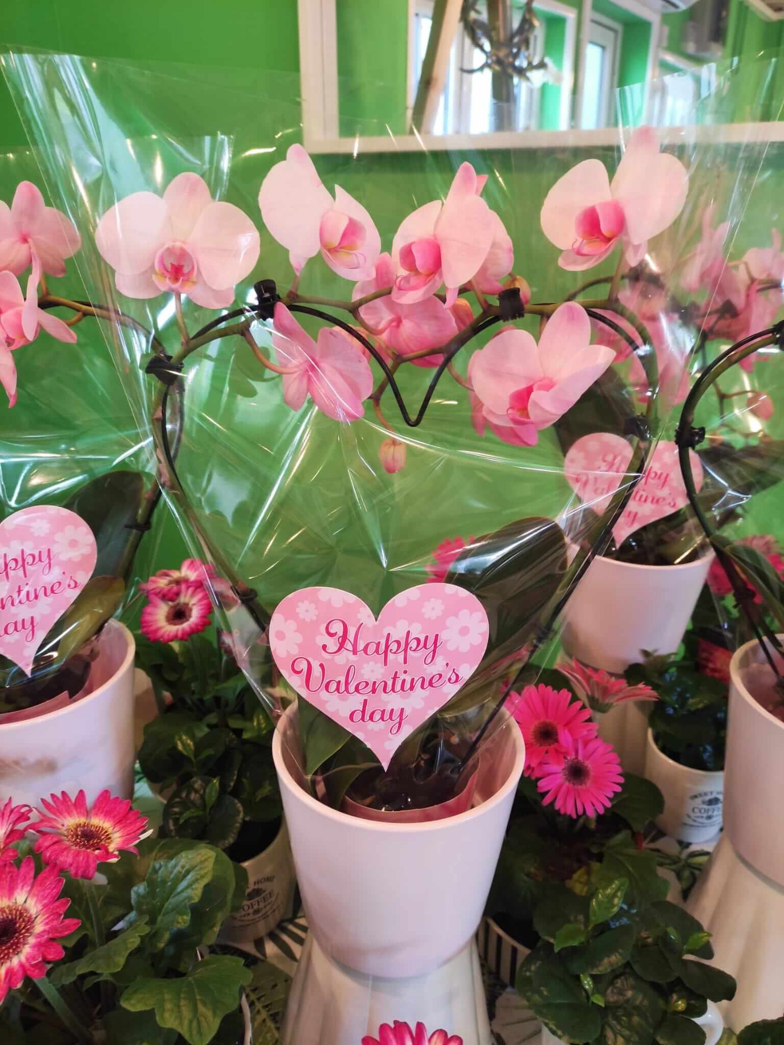 Flowers for every season