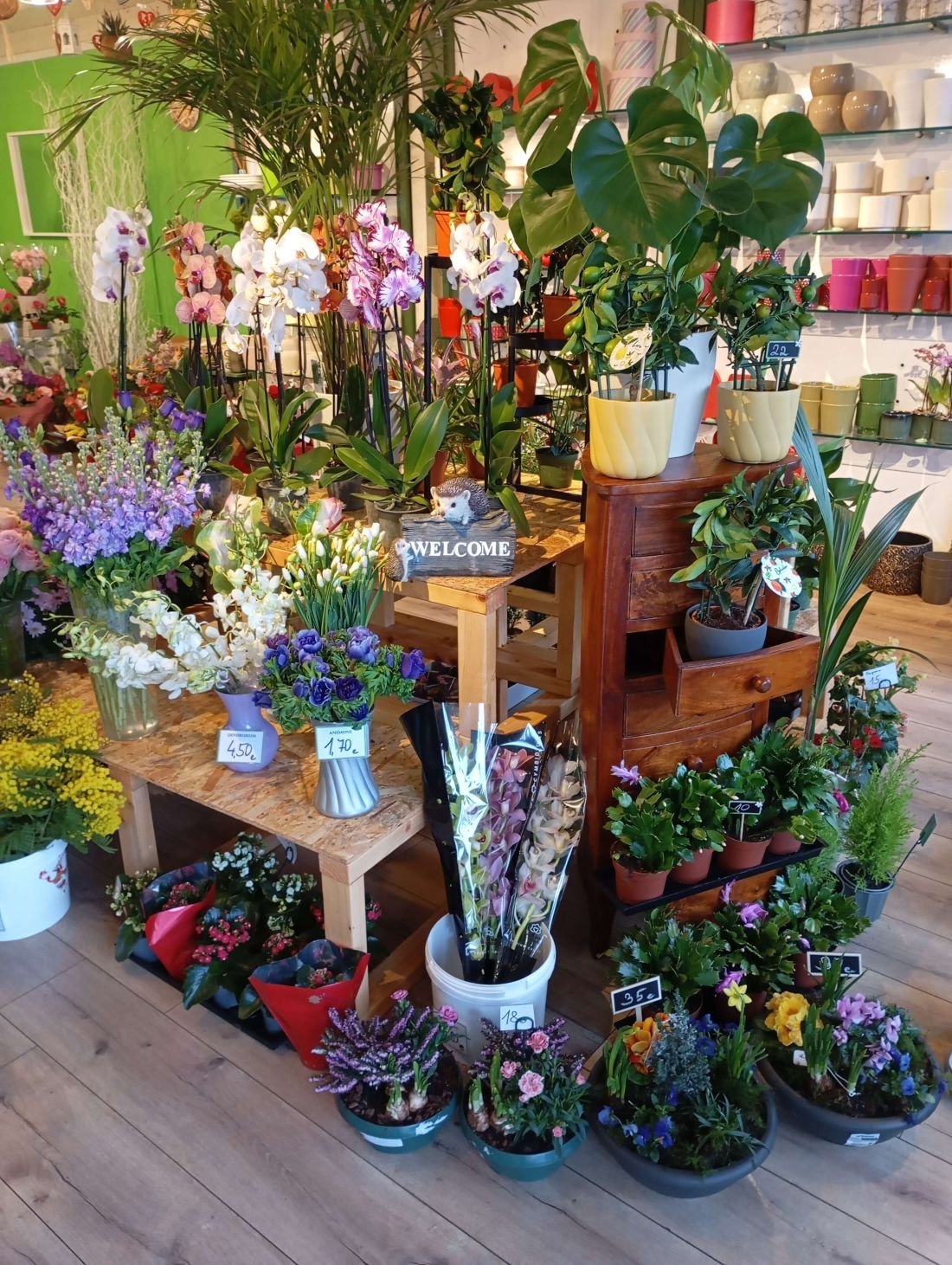 Flowers of Paradise Interieur