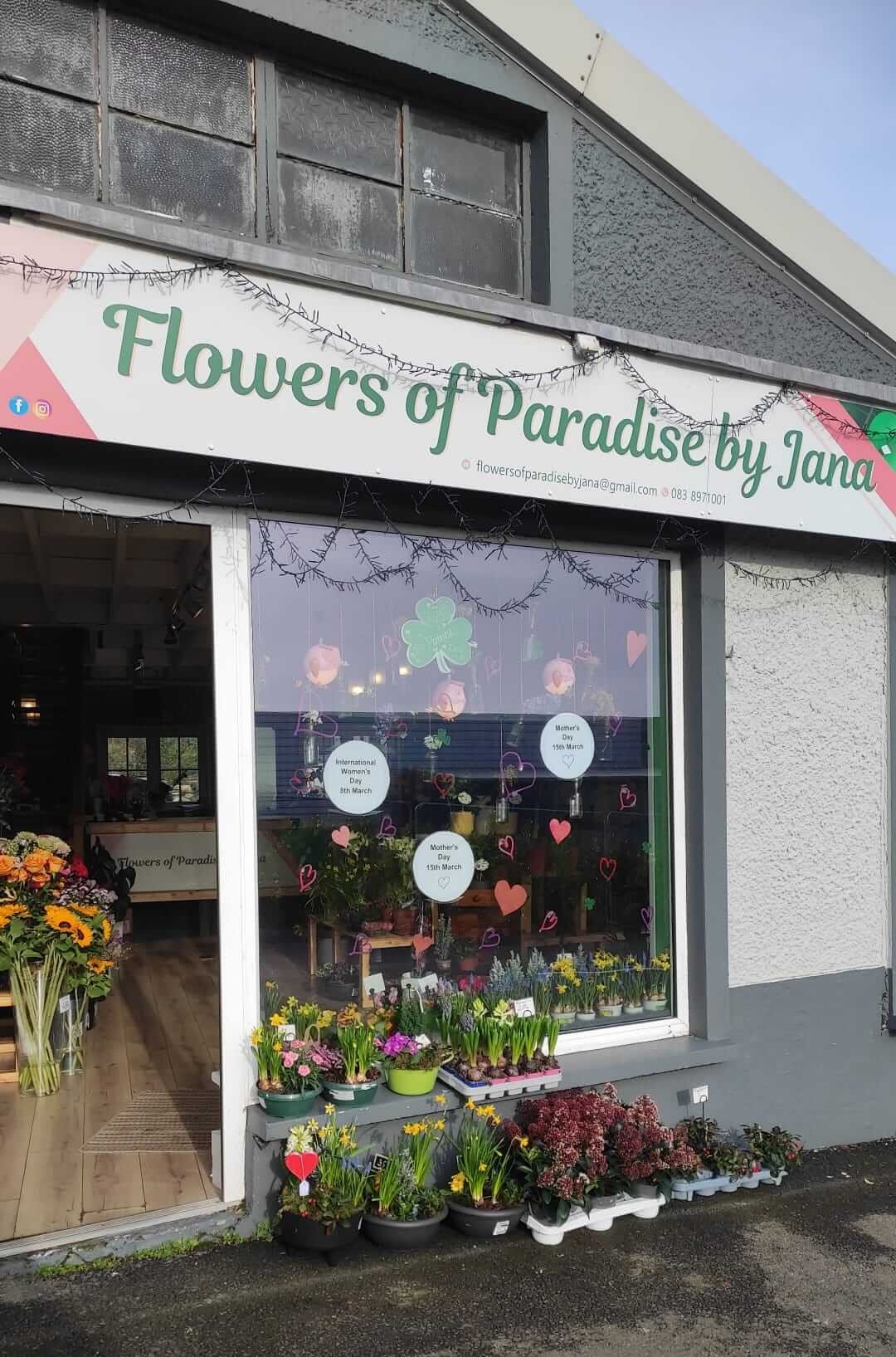 Flowers of Paradise Shop View