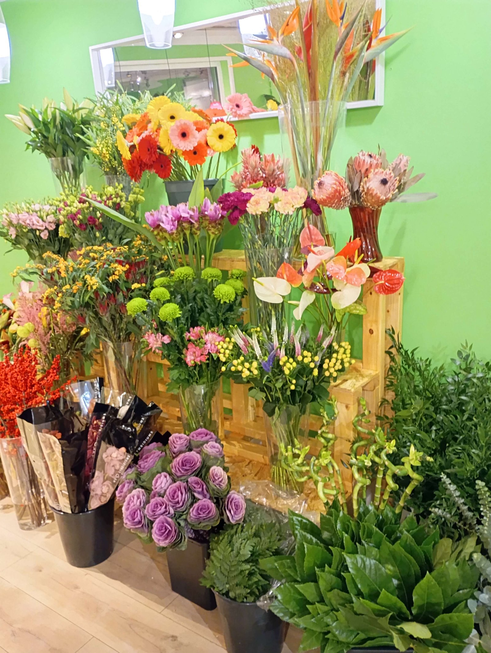 Flowers of Paradise pre-opening interior