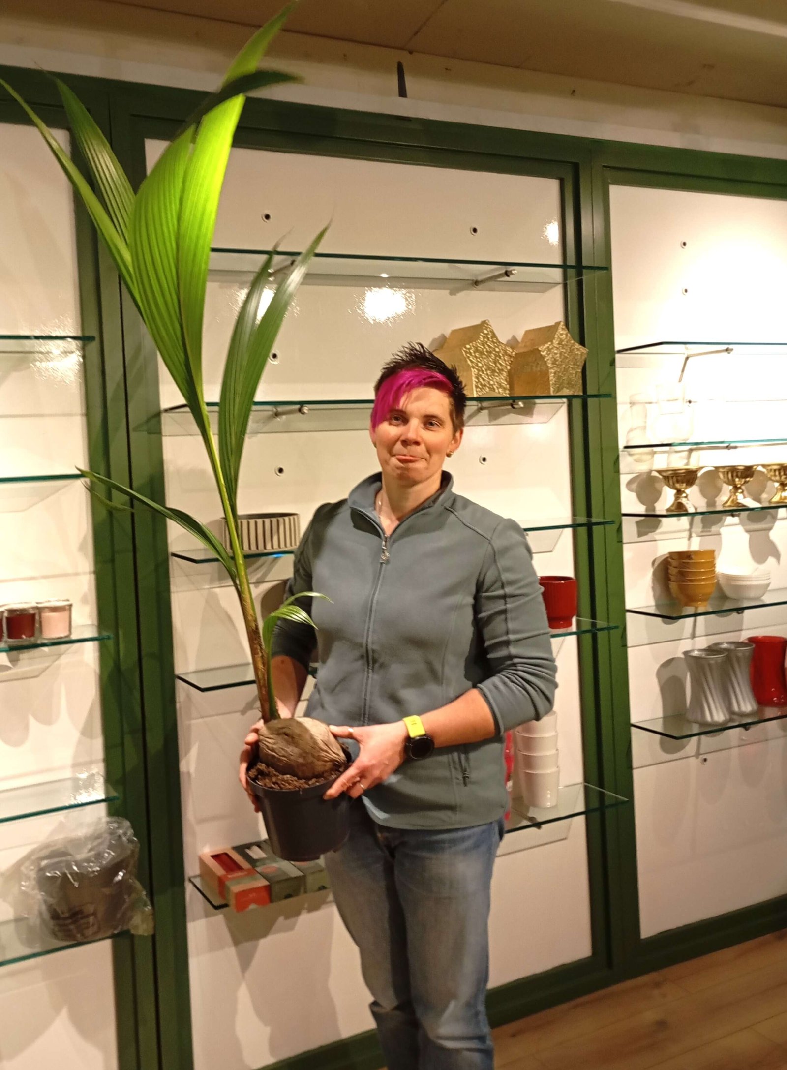 Flowers of Paradise 1st Coconut Plant