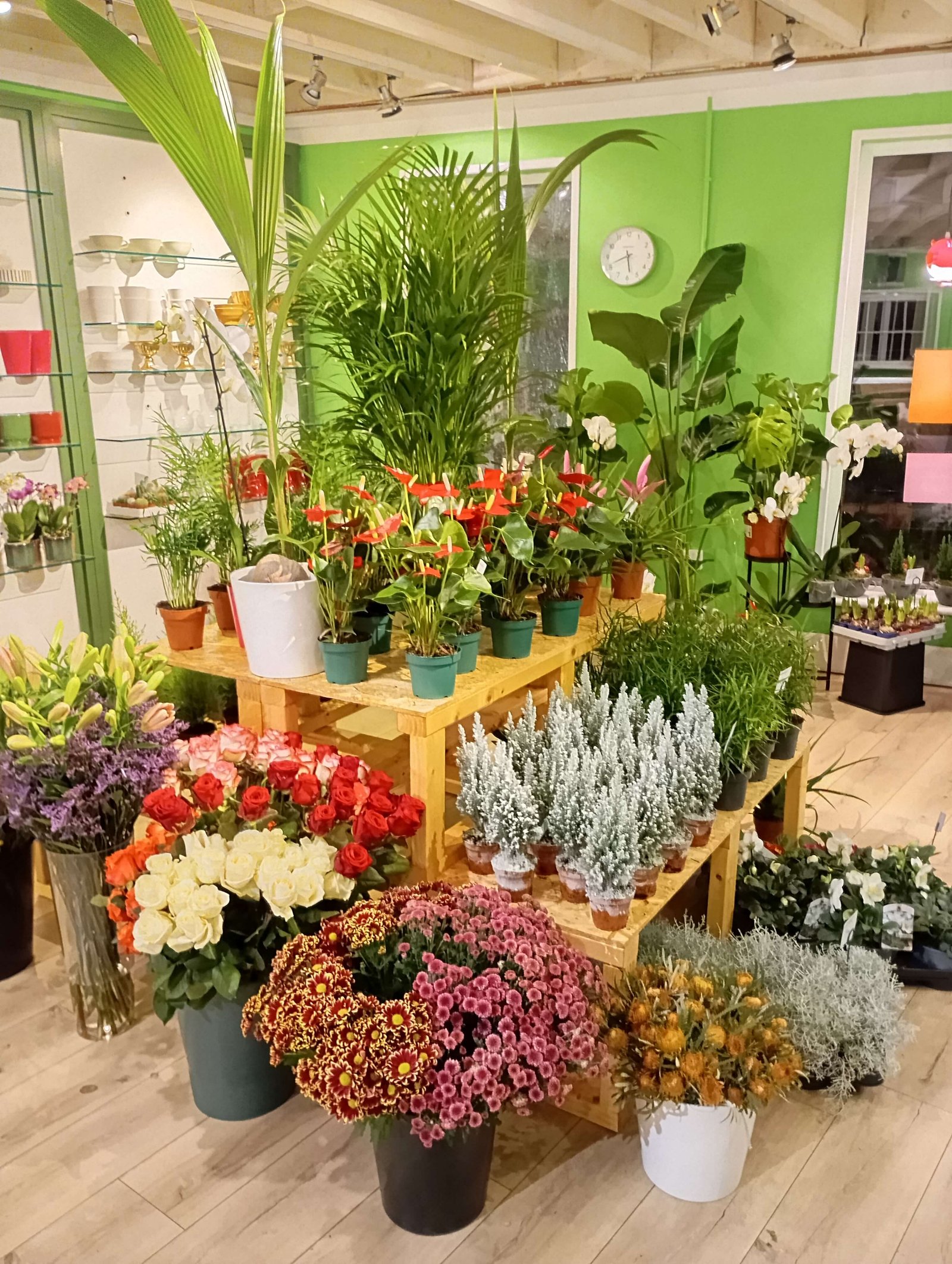 Welcome to my shop in the Heartlands